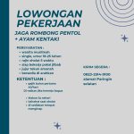 Lowongan Jaga Rombong Pentol & Ayam Kentaki