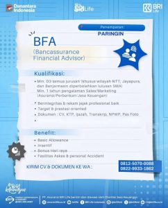 Lowongan Kerja BFA BRI Life Paringin: Wujudkan Karir Finansialmu!